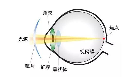 人眼與凸透鏡的關系